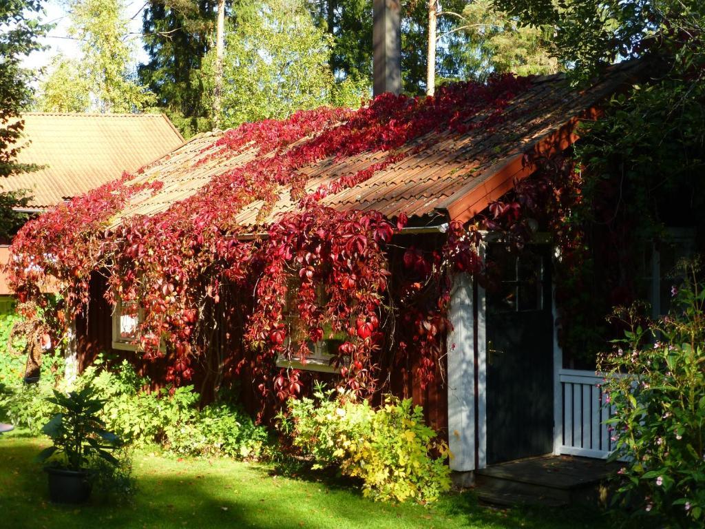Praestmyrens Vandrarhem Ransäter Room photo